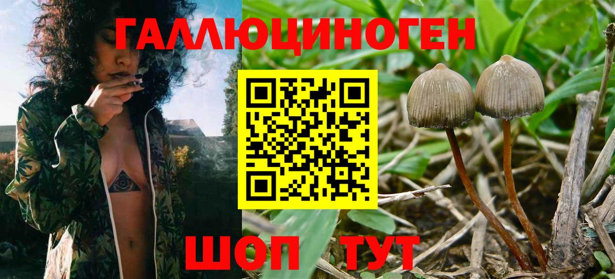 Соликамск  Псилоцибиновые грибы мицелий  Вход с VPN 